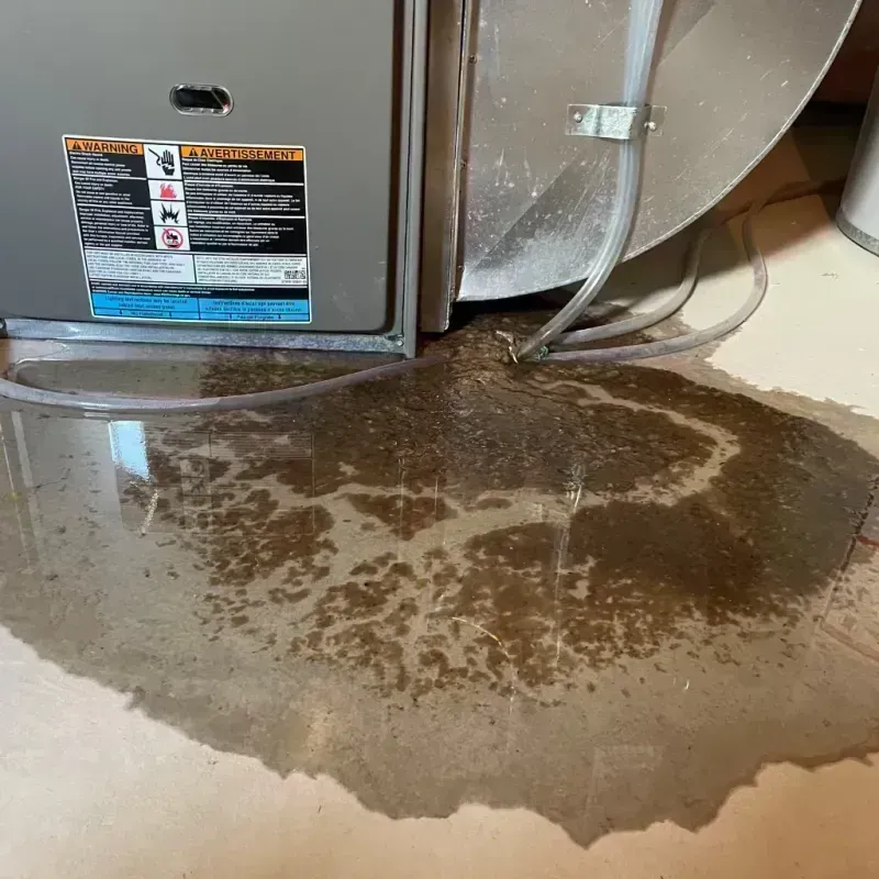 Appliance Leak Cleanup in Randall County, TX